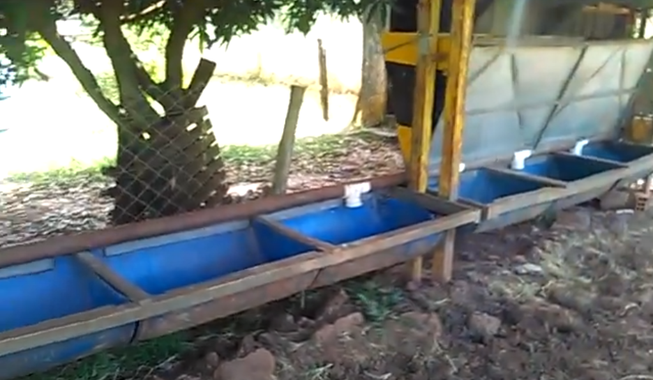 Fatalidade : Criança morre afogada em bebedouro para cavalos