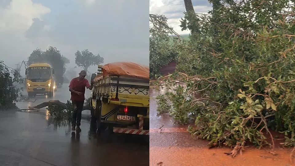 Prejuizo : Temporal causa estragos em Ubiratã e região