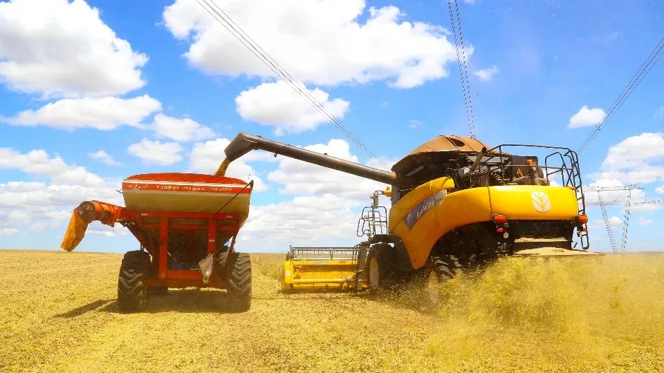 Agro : Com previsão de 21 milhões de toneladas, agricultores já colheram 90% da safra de soja