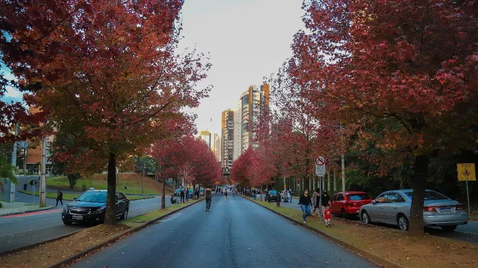 Clima : Outono terá temperaturas mais amenas do que 2024 e chuva abaixo da média no Paraná