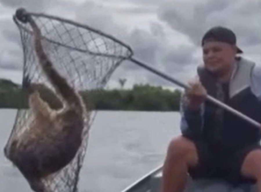 Inusitado : Grupo 'pesca' macaco perdido no Rio Paraná