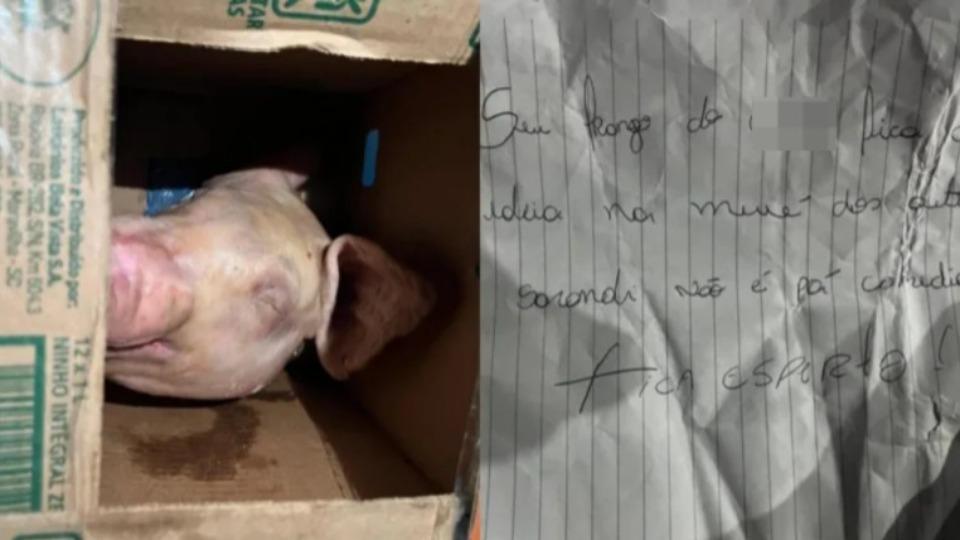 Ameaça : Homem recebe cabeça de porco e bilhete com ameaças