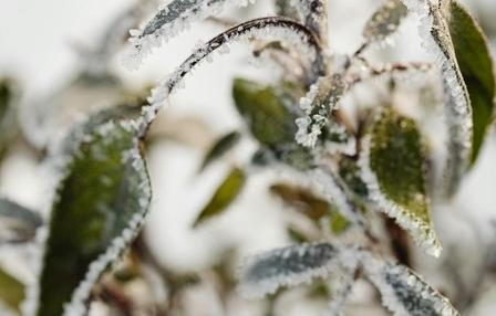 Guaíra: Temperaturas despencaram nesta madrugada de terça feira