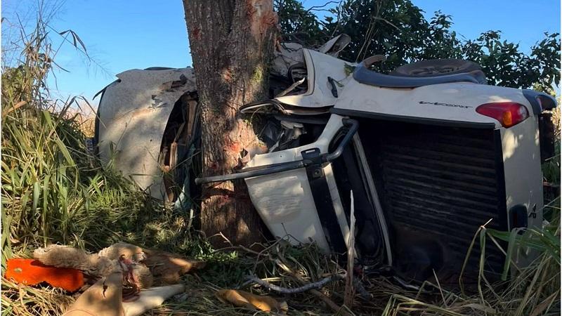 Fatal: Colisão de caminhonete contra árvore deixa quatro mortos e uma pessoa em estado grave