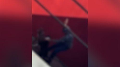 Na Cadeia: Homem que agrediu cachorro em Cascavel pode pegar até cinco anos de prisão