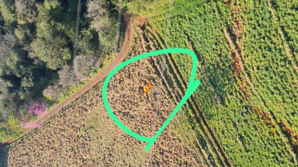 aCIDENTE NO AR: Policial civil morre durante voo de paramotor no Paraná