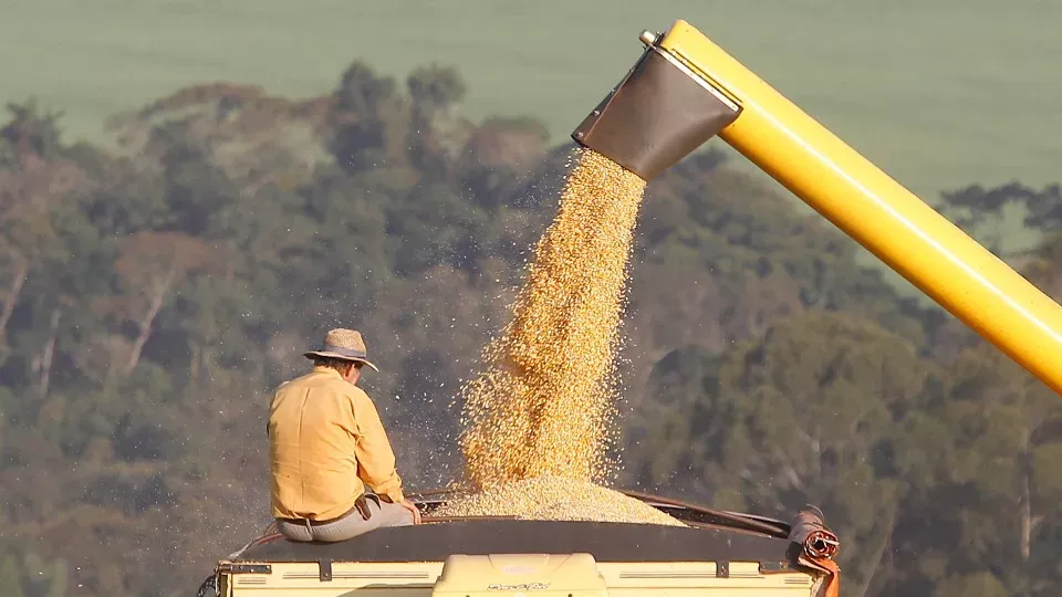 Agro: Produtores rurais devem declarar o ITR entre 11 de agosto e 30 de setembro