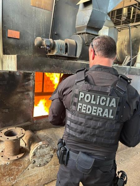 Guaíra PR: PF incinera mais de 10 toneladas de drogas na 10ª operação de 2025