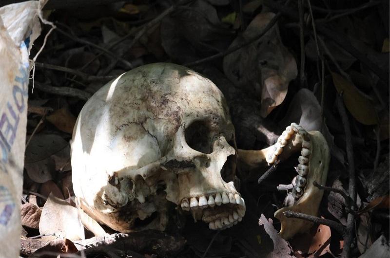 Motorista encontra crânio às margens da BR-262