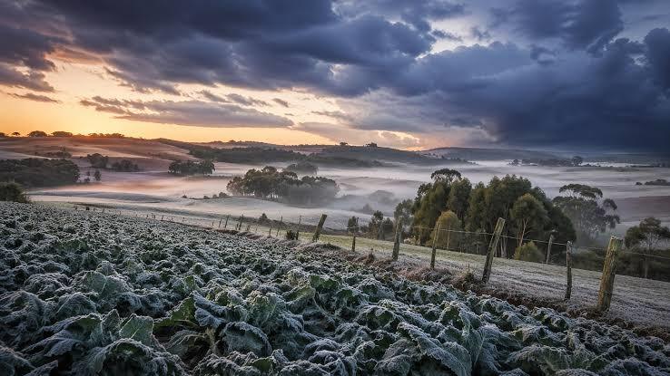 Guaíra: Guaíra entra em alerta de geada com forte queda nas temperaturas ao longo da semana