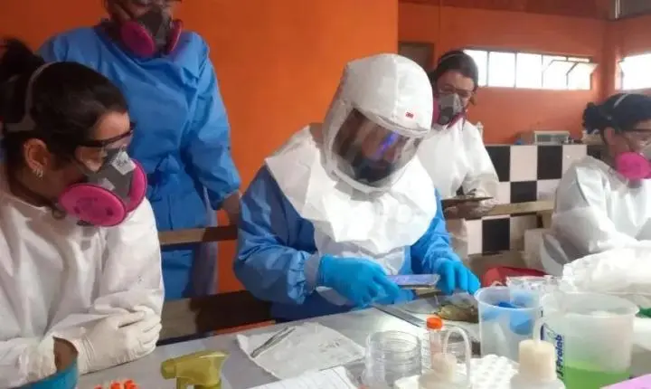 Alerta: Paraná registra dois casos confirmados de hantavírus e investiga outros 11 suspeitos, alerta Sesa