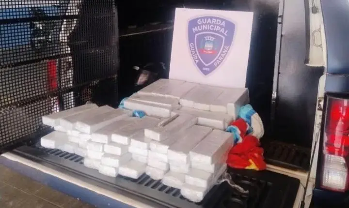 Apreensão: Guarda Municipal apreende 65 quilos de maconha e prende suspeito de tráfico em Guaíra