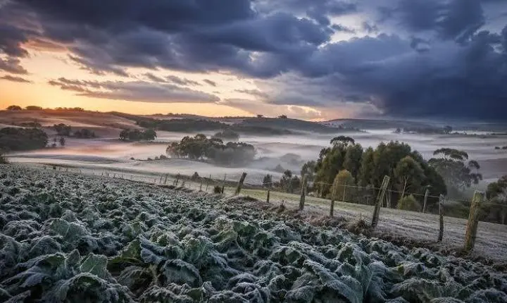 Guaíra: Guaíra entra em alerta de geada com forte queda nas temperaturas ao longo da semana