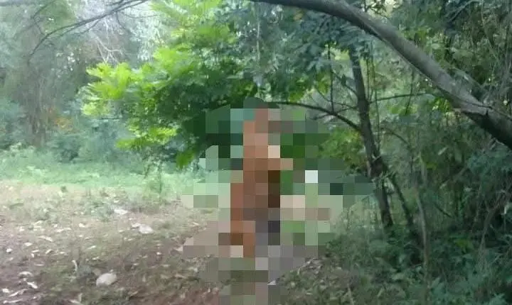 Homem é preso suspeito de enforcar e matar cachorro